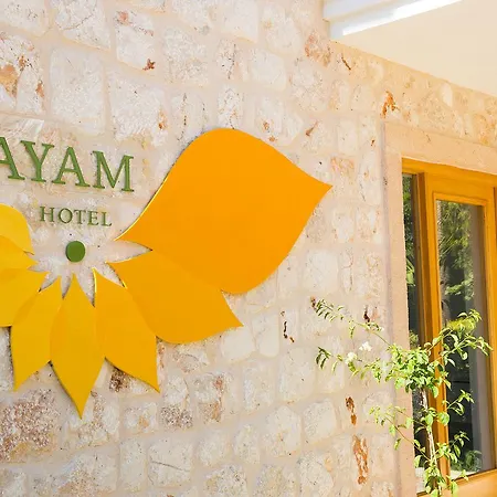Отель Payam